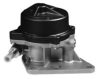 SAMI 6907429 Vacuum Pump, brake system